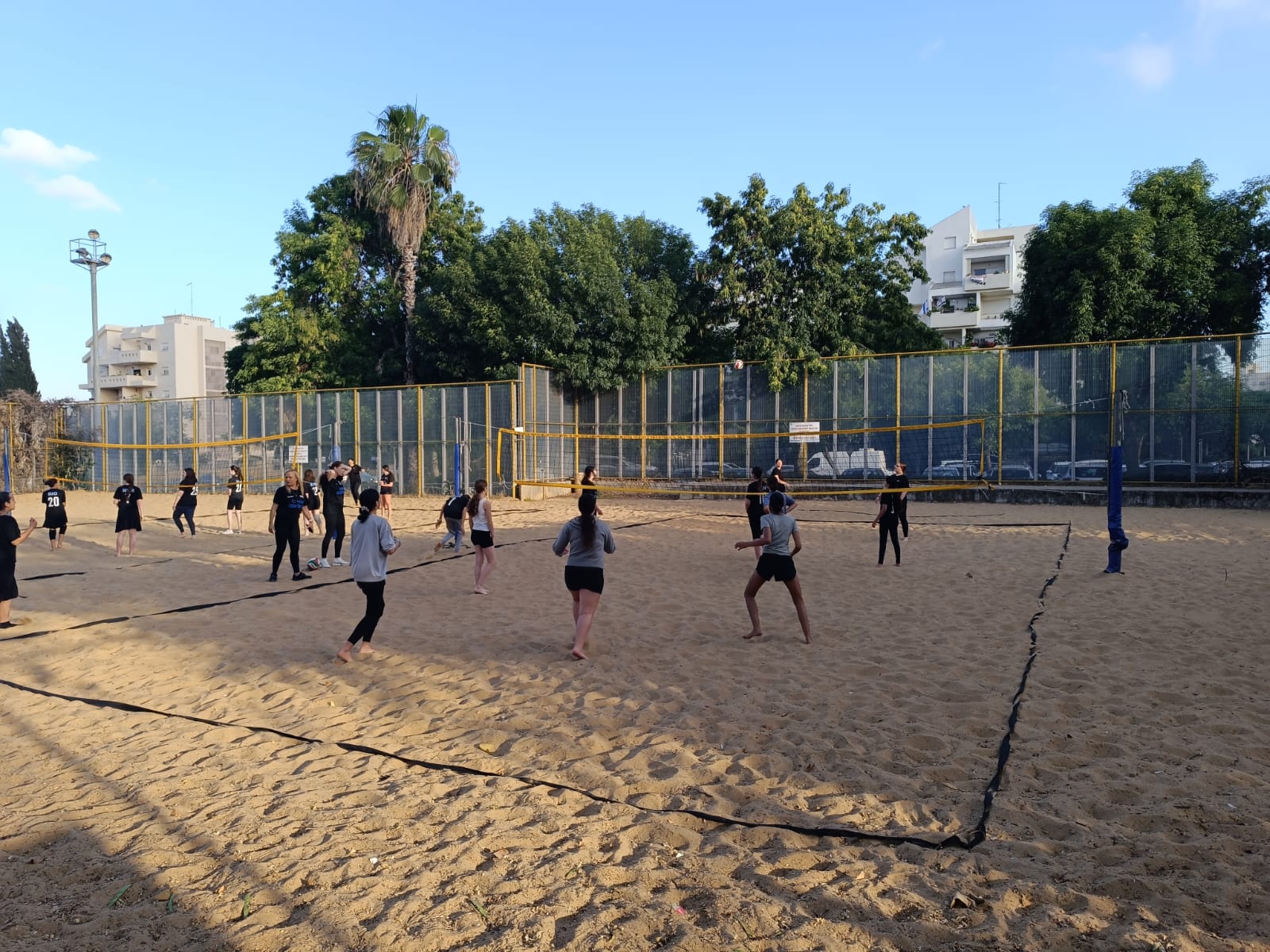 img-202604