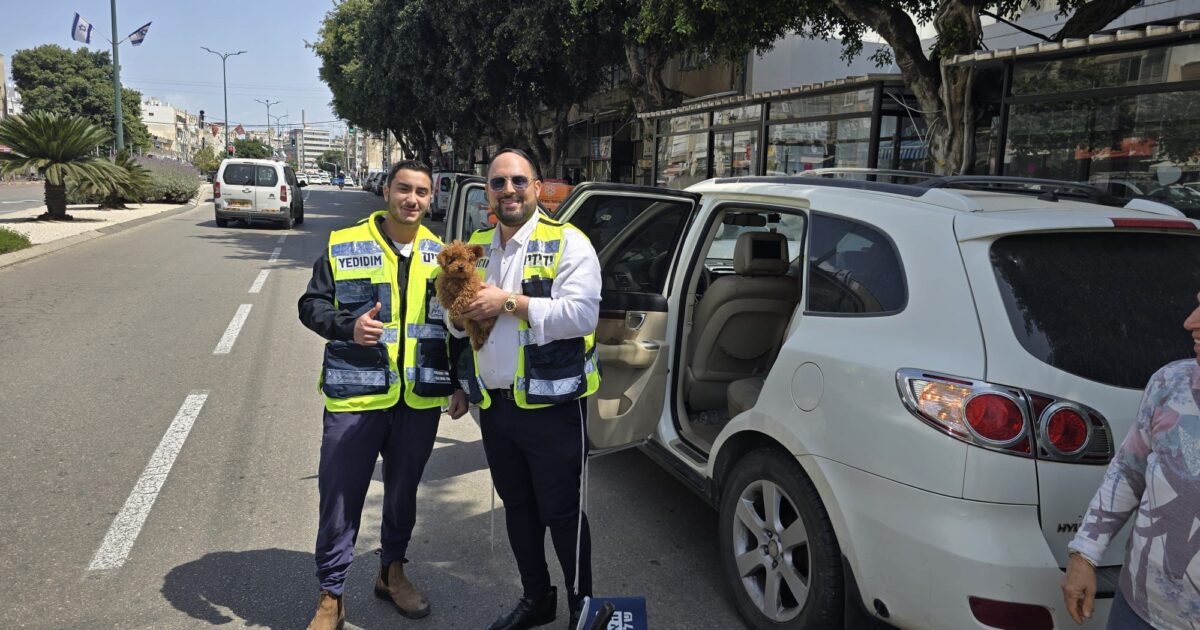 yedidim natanya dog