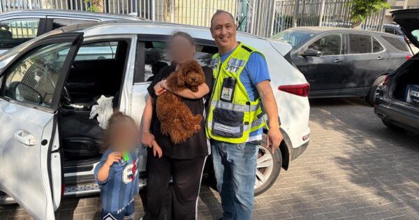 yediddim natnya dog car