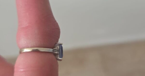 yedididm pardes hana ring