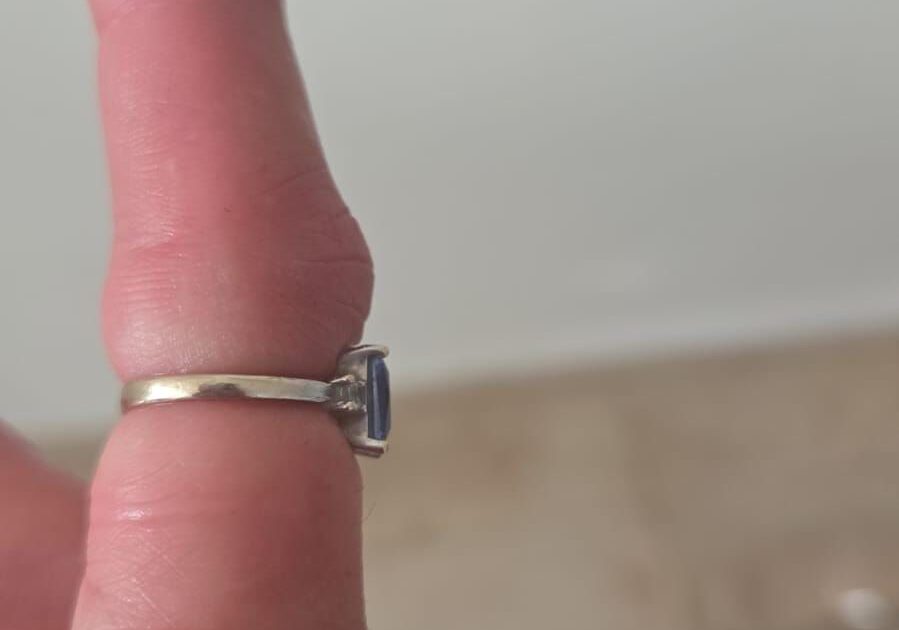 yedididm pardes hana ring