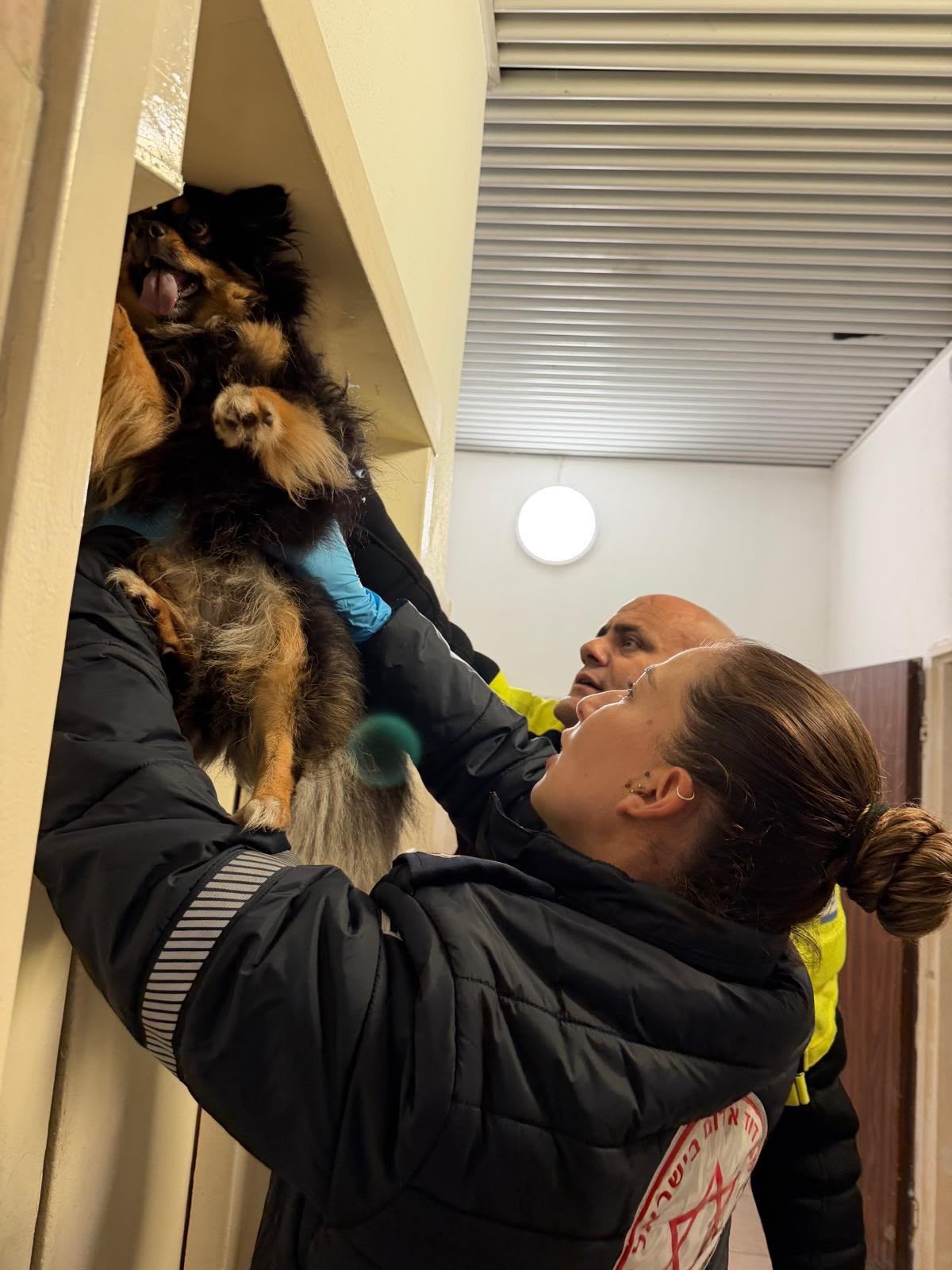 dog rescue hadera