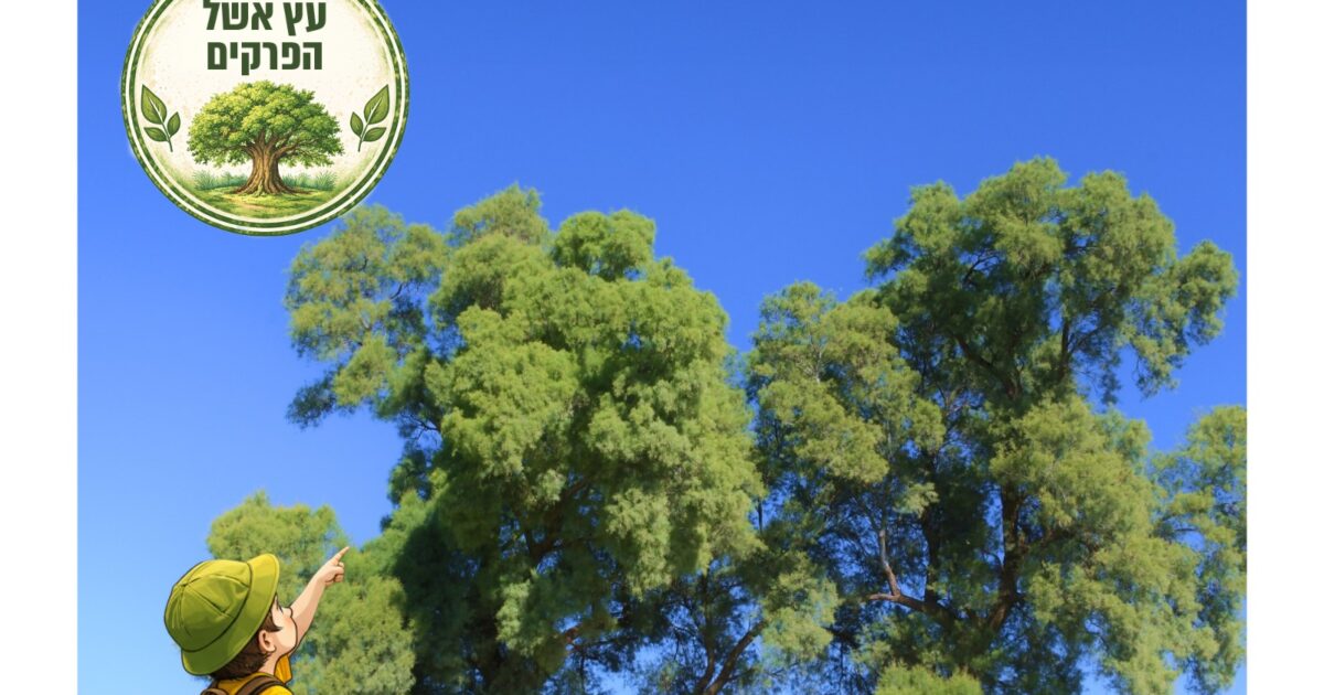 yavne eshel