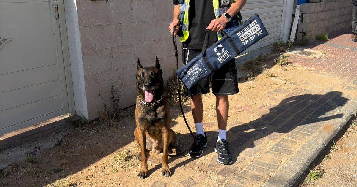 yedididm nes ziona dog
