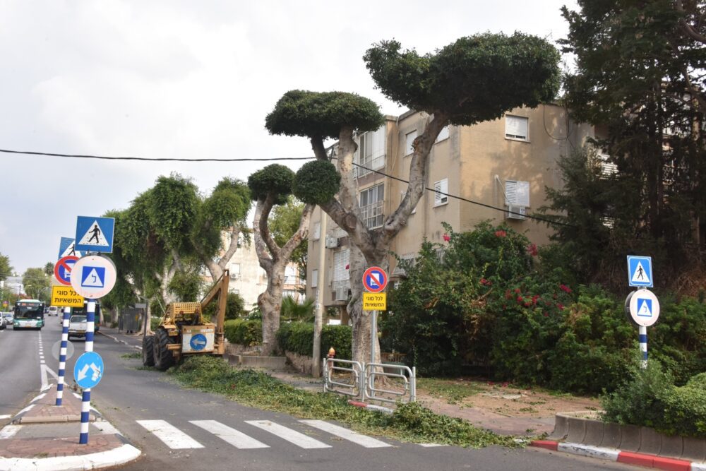 עיריית קריית אתא קוראת לתושבי העיר לפעול לניקוי מרזבים וגגות, צילוםL עיריית ק. אתא
