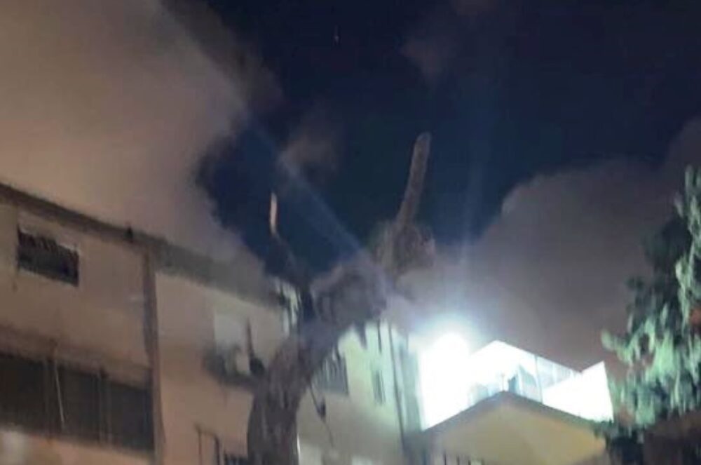 העץ שהדיירים התבקשו לגזום, ואז לכרות ואז לשתול במקום. צילום: שרון בן חמו כהן