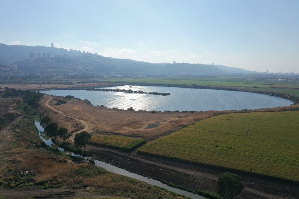 IMG-20211208-WA0024