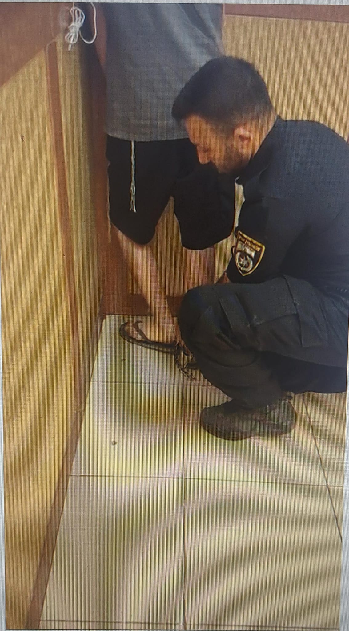 tiberuya arrest