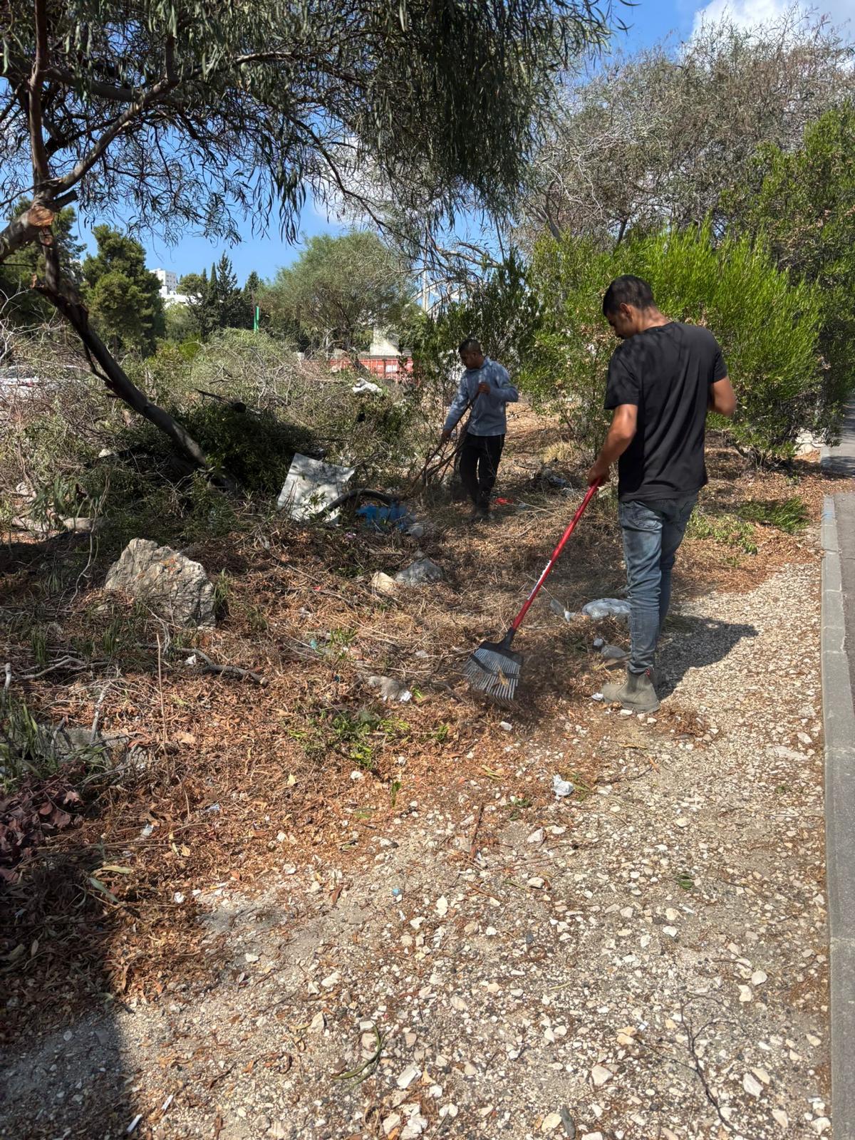 cleaning haifa3