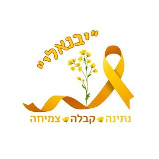 haifa yellow3