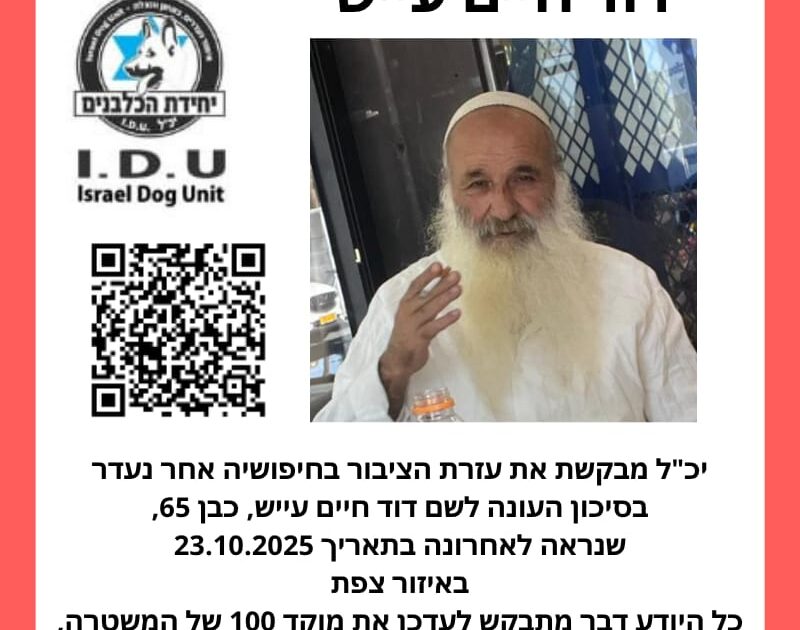 david haiim ayash miron