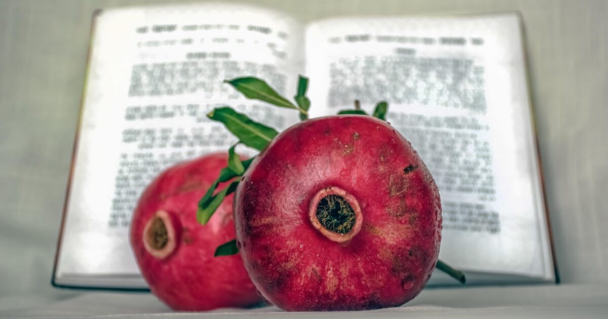 pomegranate-6654590_1280