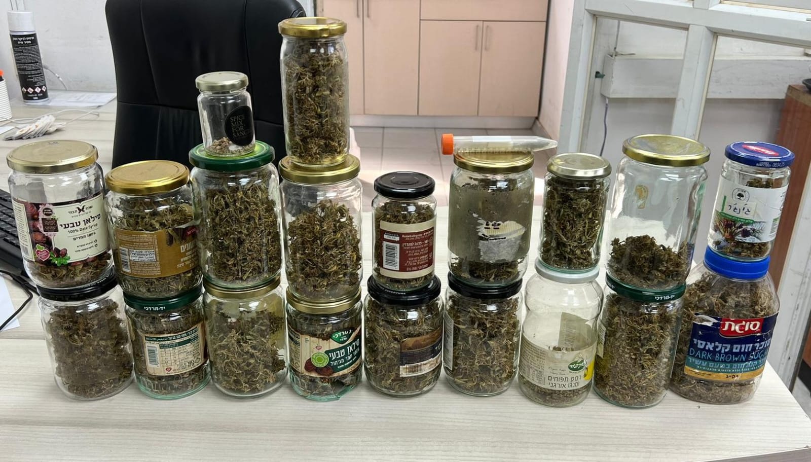 drugs academiya north