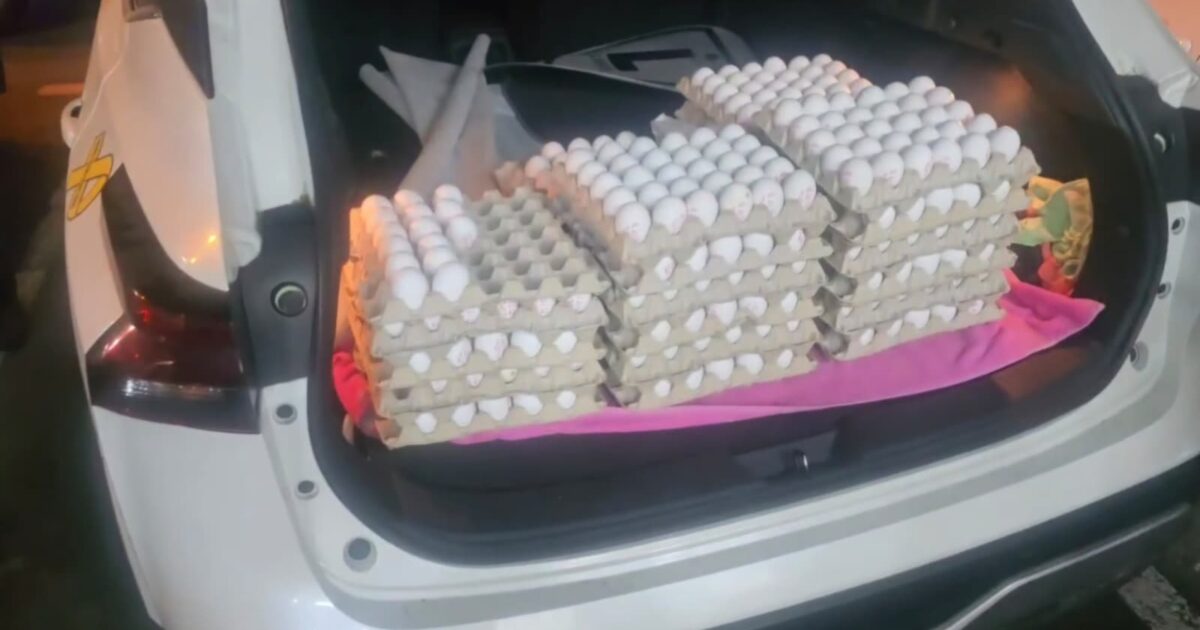 eggs haifa