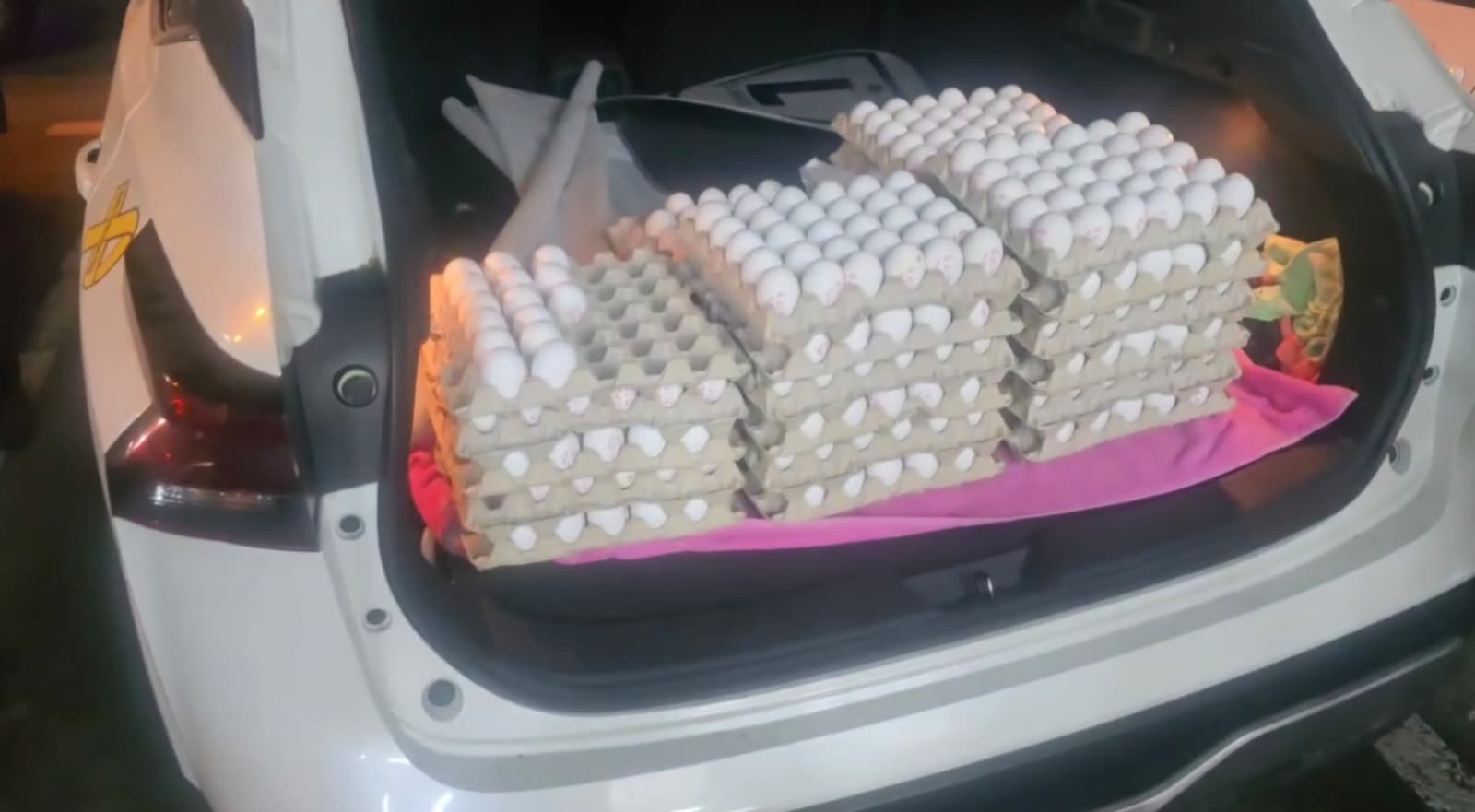 eggs haifa