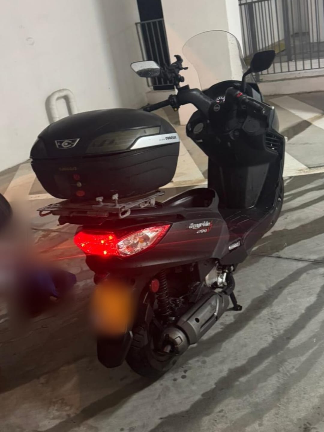 stolen katnoa haifa