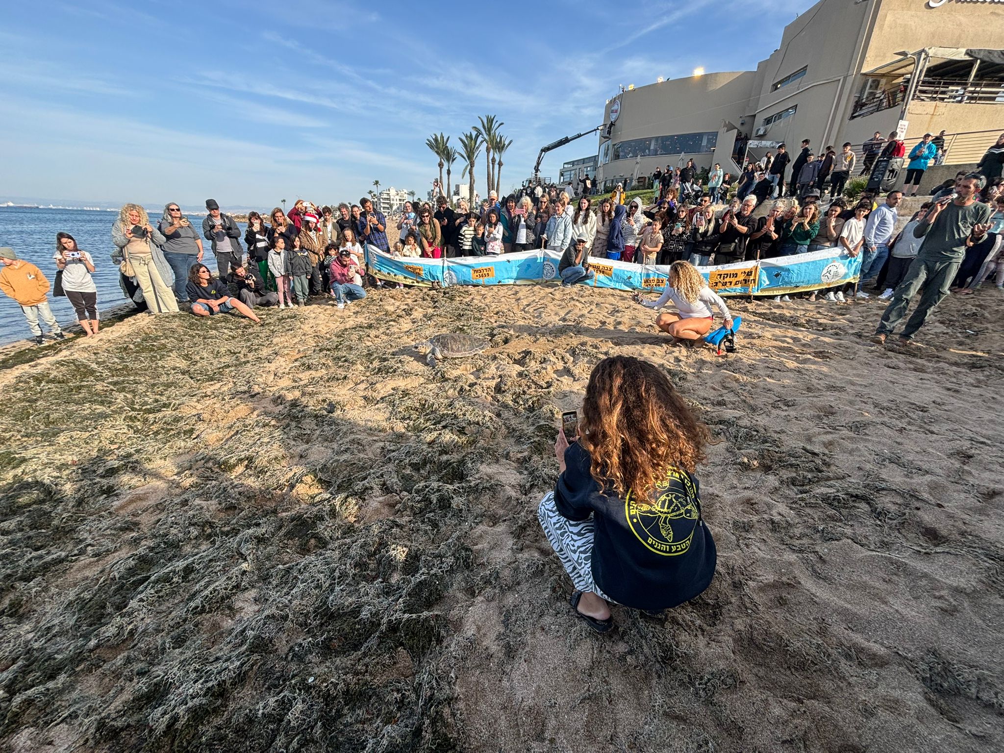 tutules haifa
