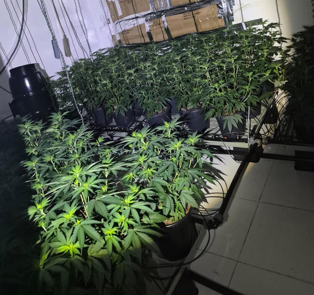 drugs nahariya acra