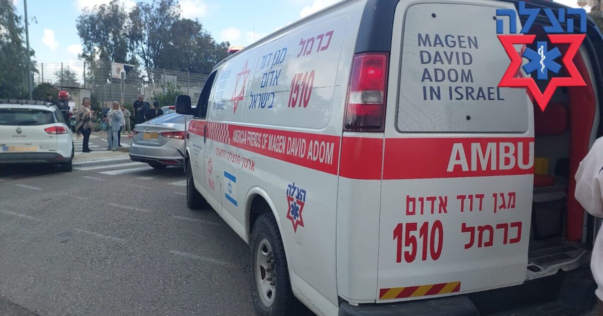 hazla dganiya kiryat haim