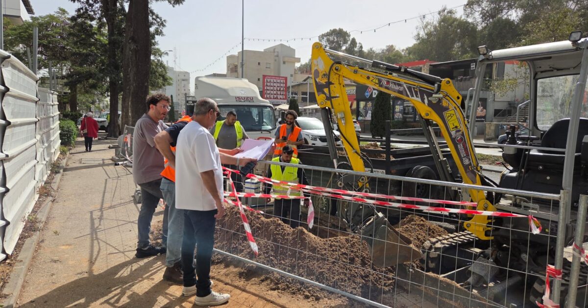 kiryat haiim tree