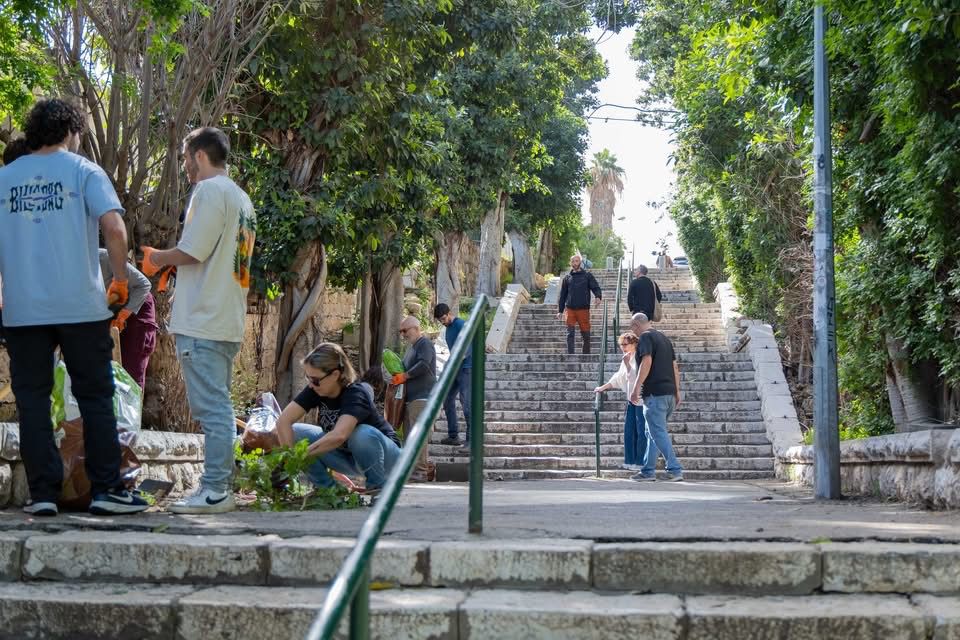 madregot naaot haifa