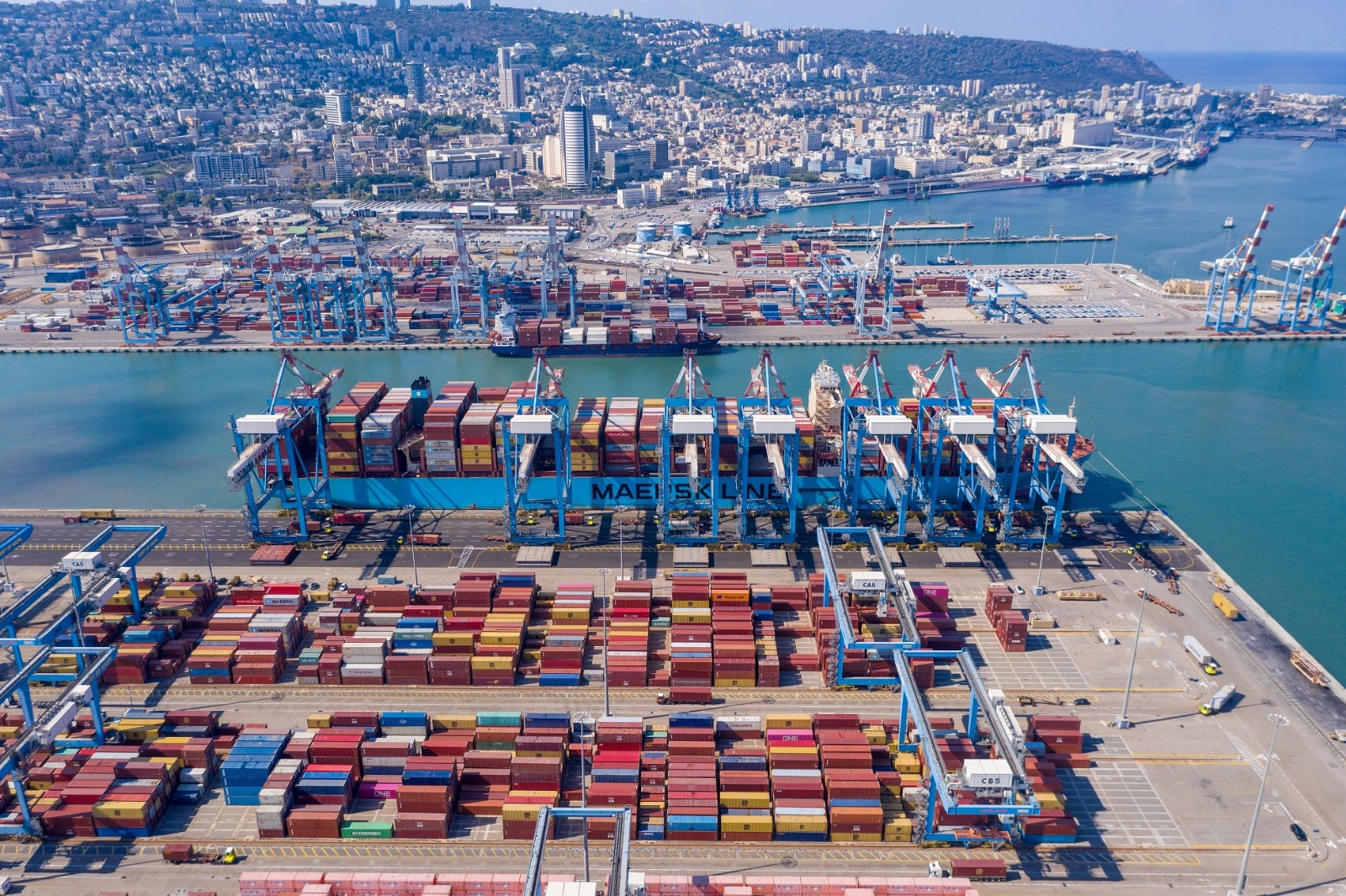 namal haifa lior fattal