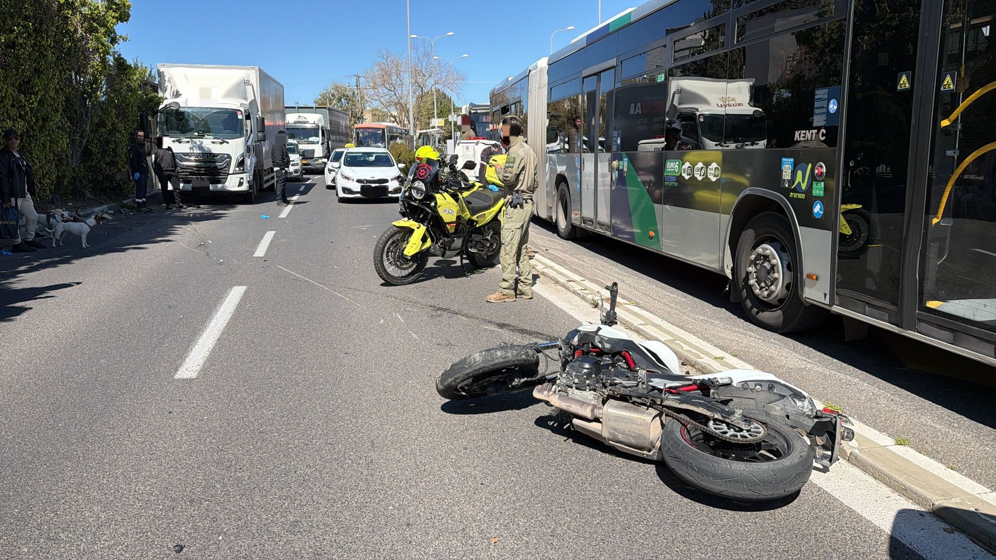 bic accident mozkin alarm