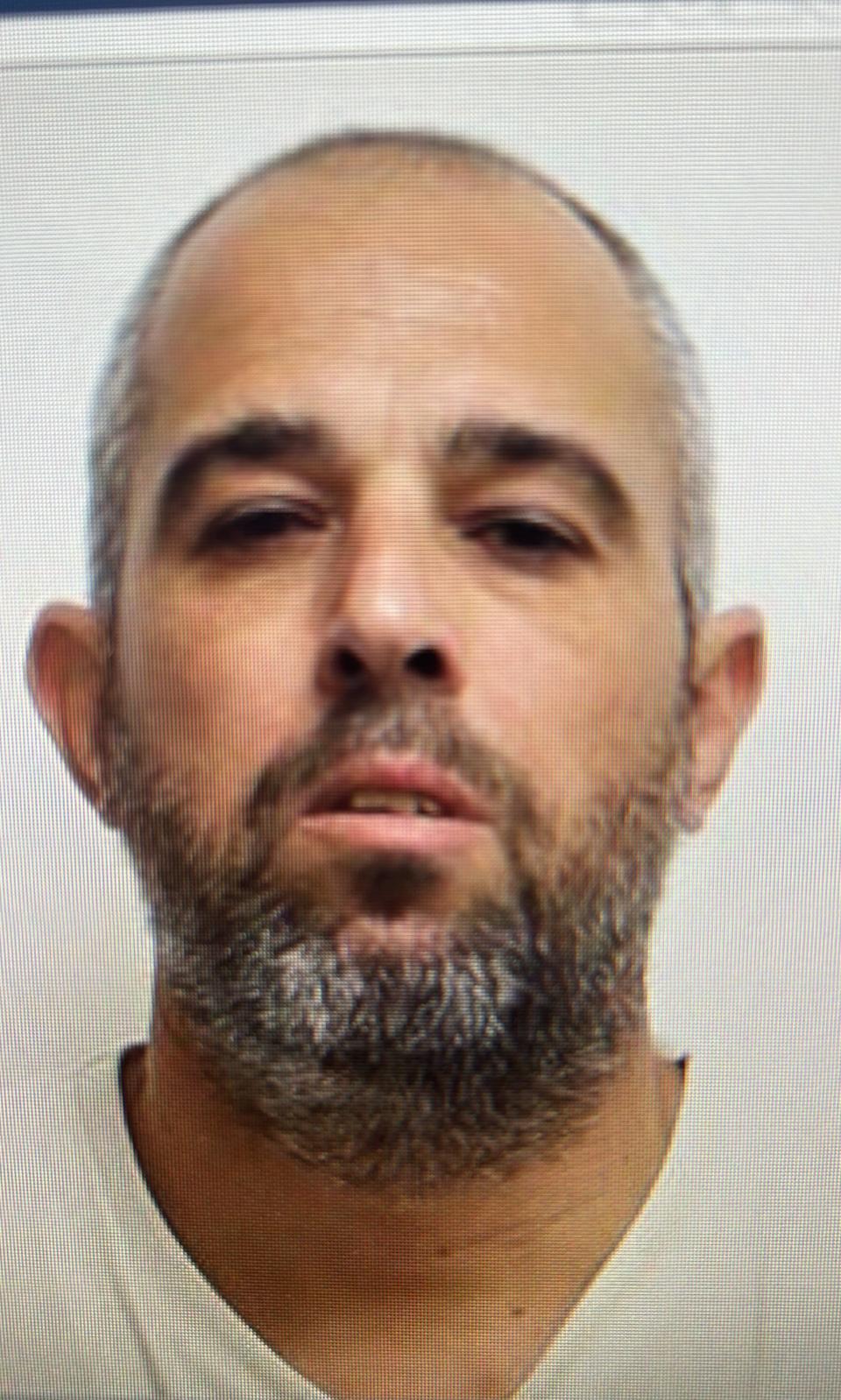 erez shtekler