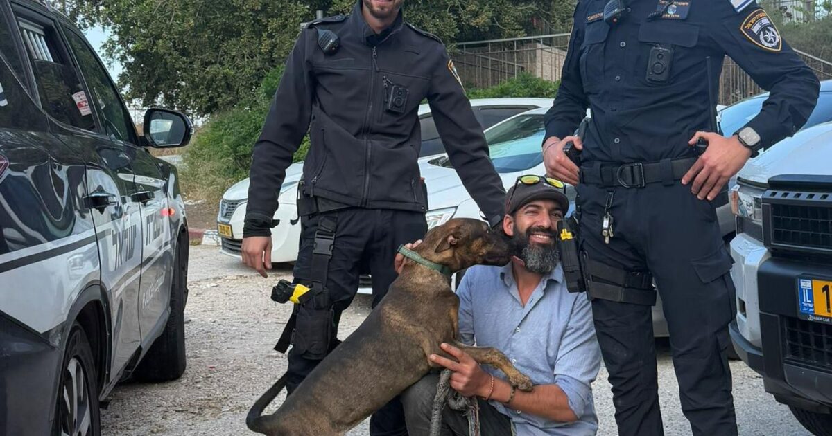 dog migdal haemek