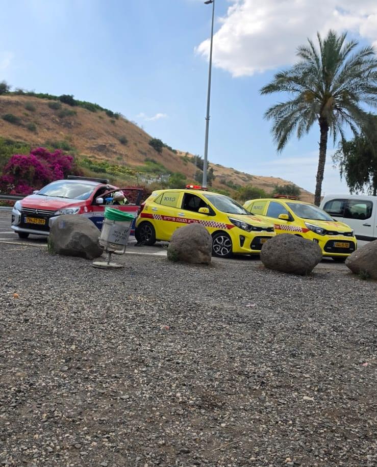 shikmim kineret