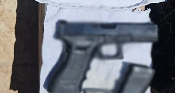 gun daliya