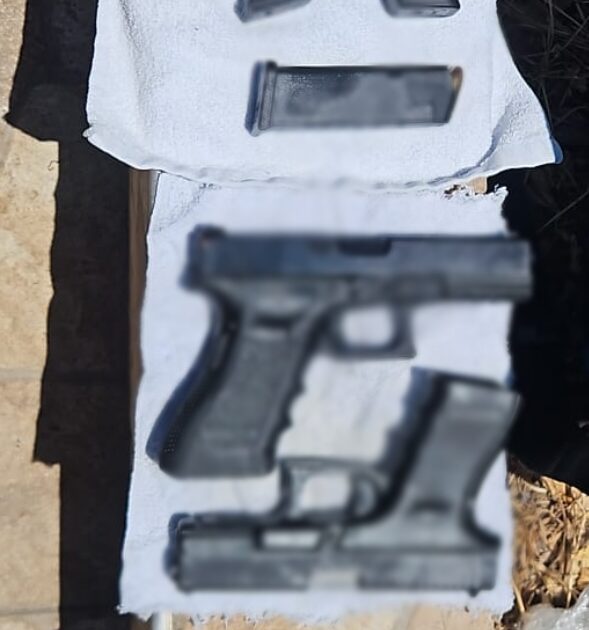 gun daliya