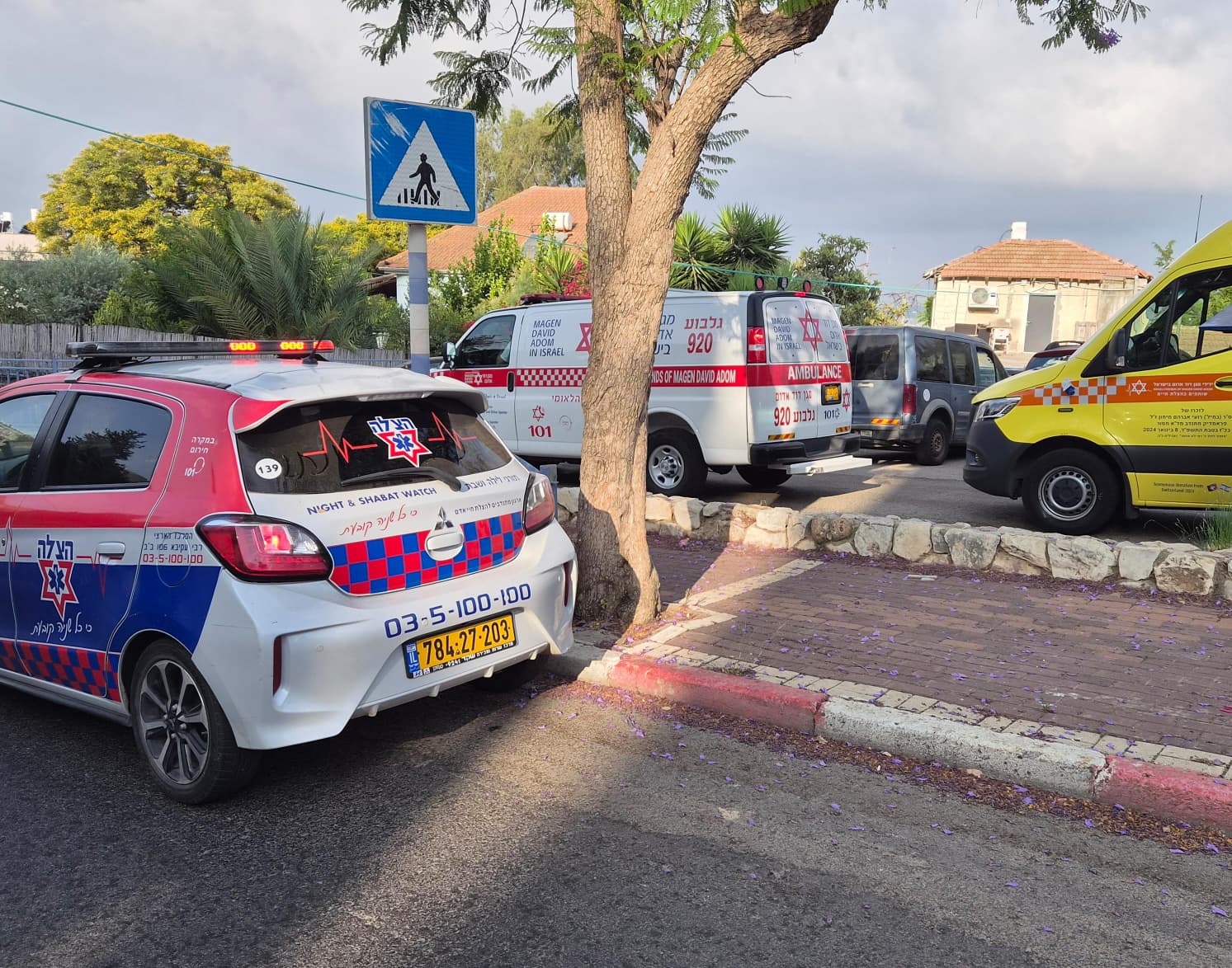 hazala afula