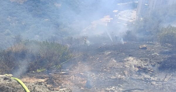 fair nahal lotem haifa