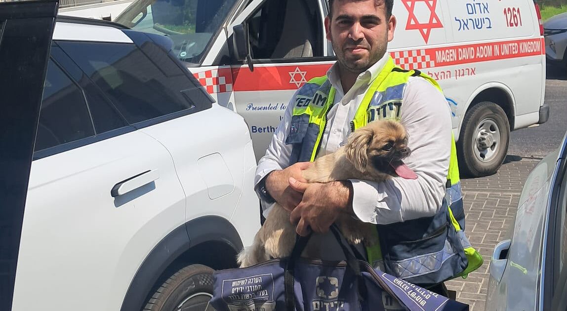 yedididm tiberiya dog