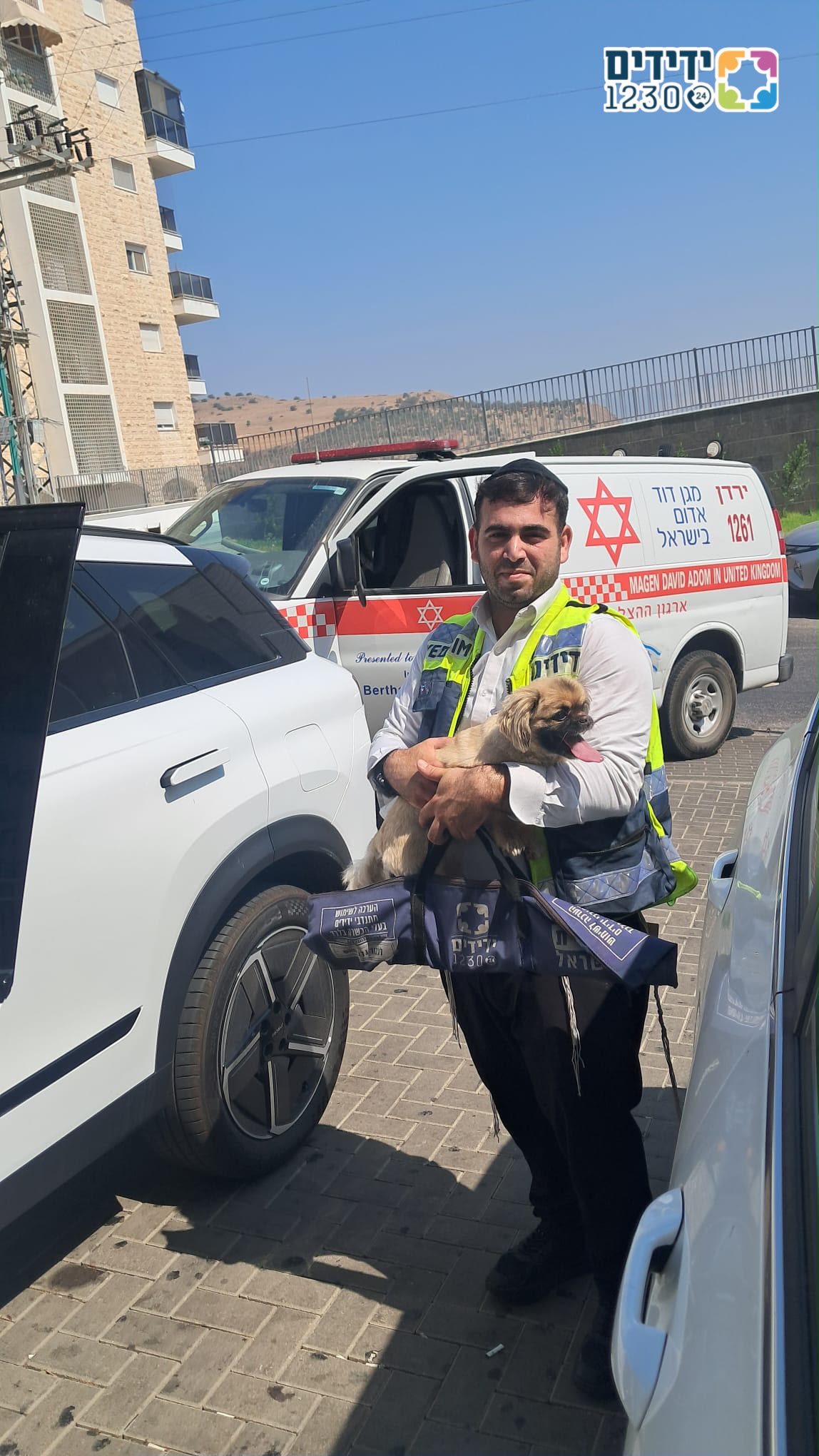 yedididm tiberiya dog