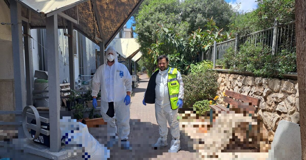 zaka nof hagalil 63